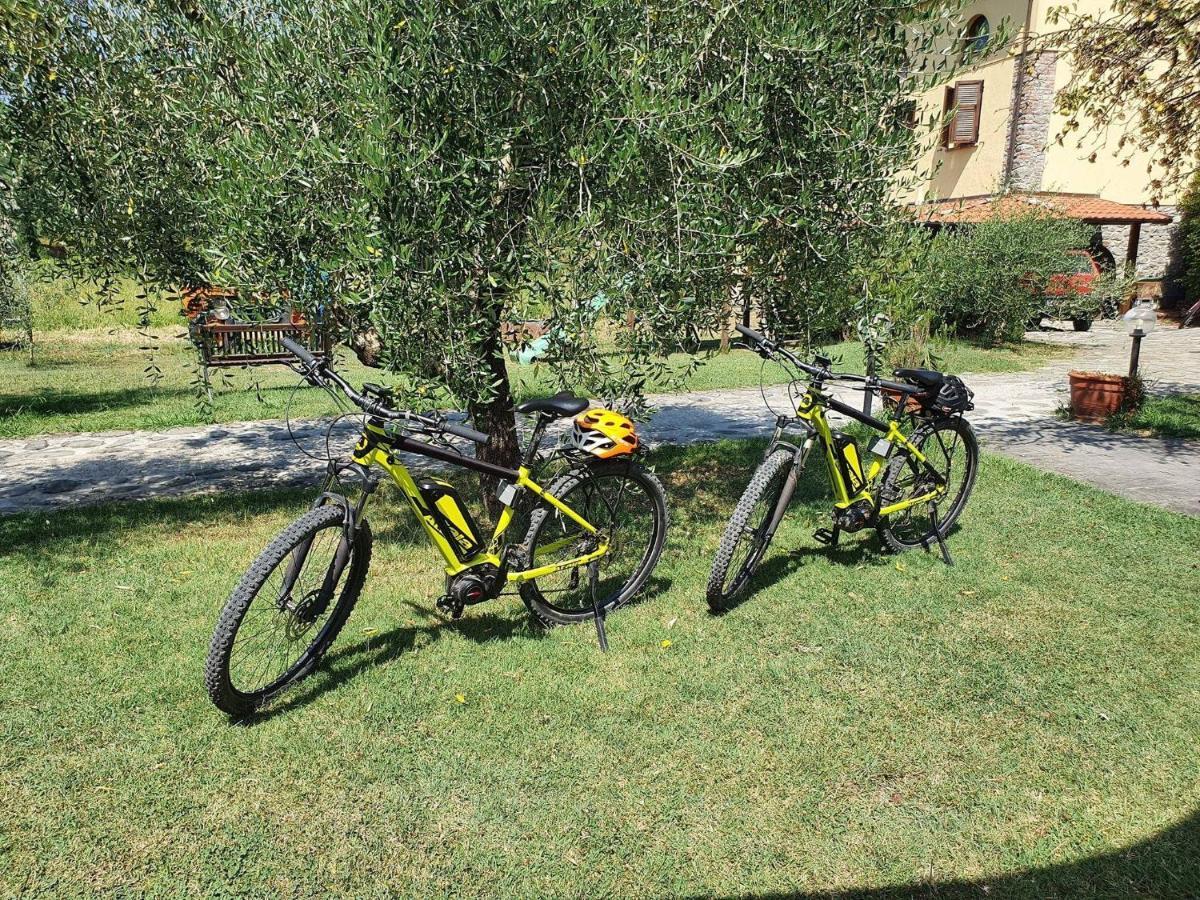 Agriturismo Il Poderetto Licciana Nardi Eksteriør billede