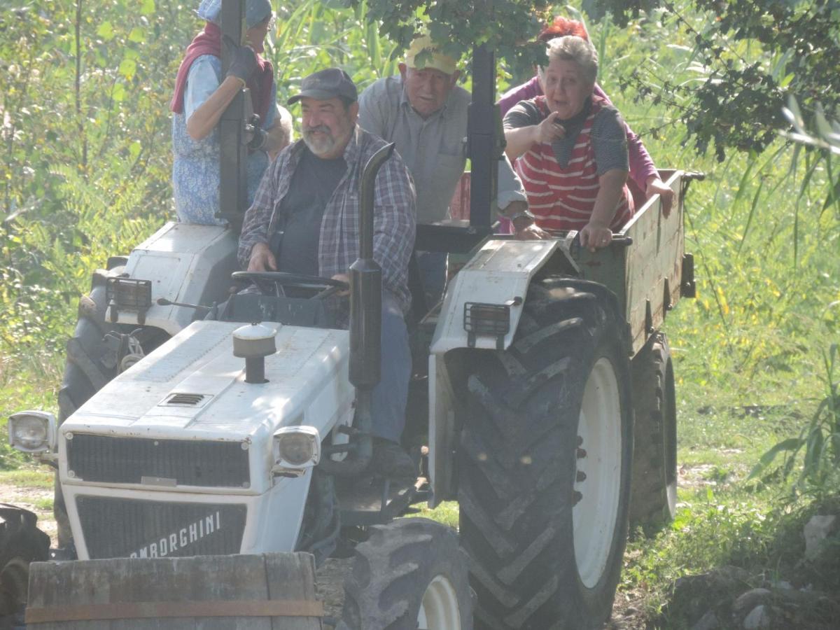Agriturismo Il Poderetto Licciana Nardi Eksteriør billede