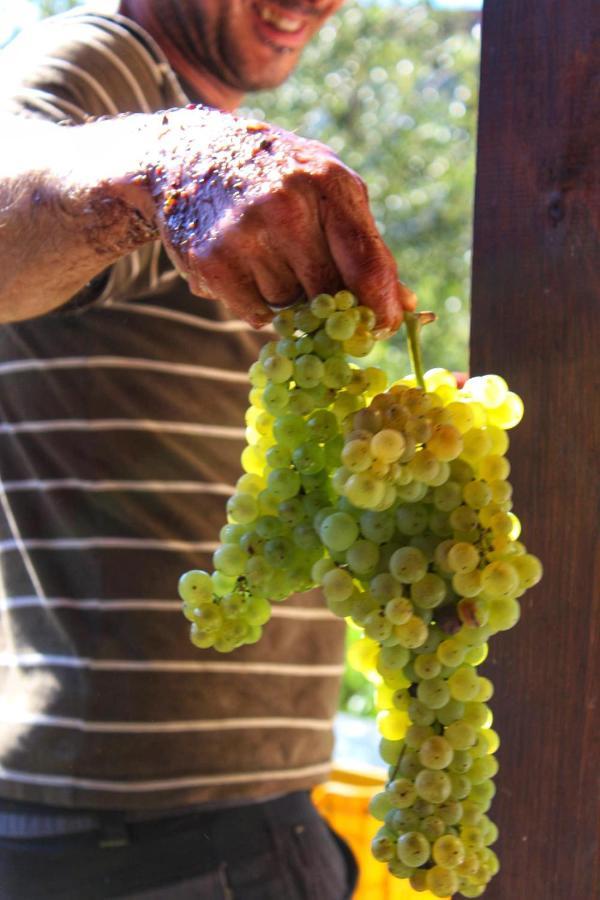 Agriturismo Il Poderetto Licciana Nardi Eksteriør billede