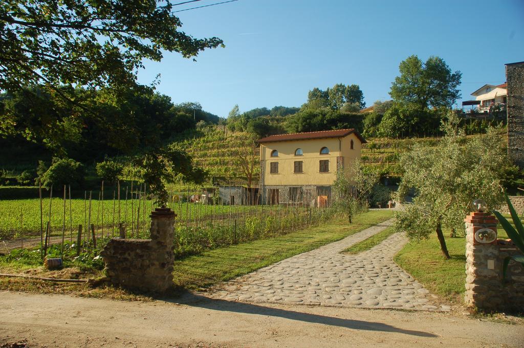 Agriturismo Il Poderetto Licciana Nardi Eksteriør billede